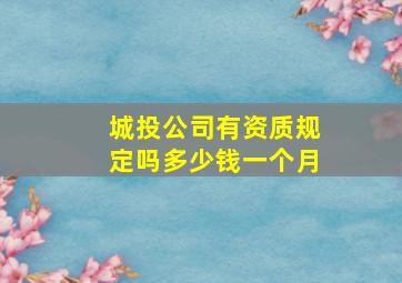 城投公司有资质规定吗多少钱一个月