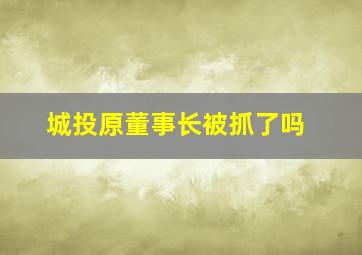 城投原董事长被抓了吗