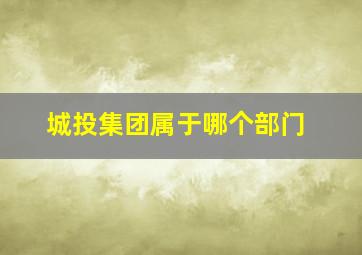 城投集团属于哪个部门