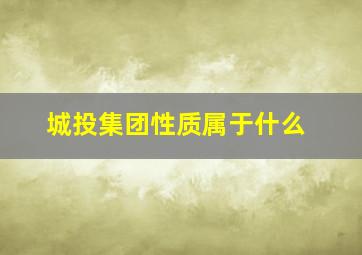 城投集团性质属于什么