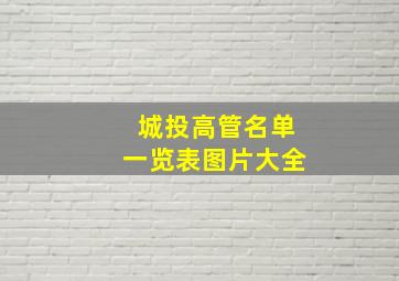 城投高管名单一览表图片大全