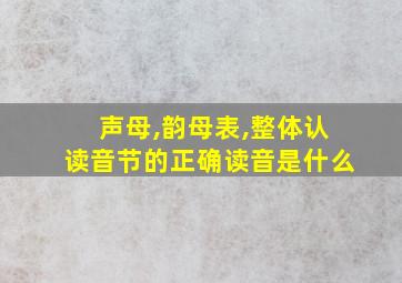 声母,韵母表,整体认读音节的正确读音是什么