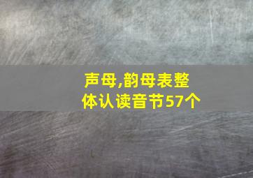 声母,韵母表整体认读音节57个