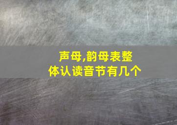 声母,韵母表整体认读音节有几个