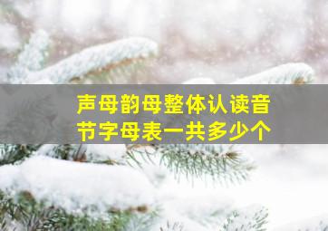 声母韵母整体认读音节字母表一共多少个