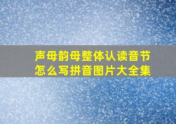 声母韵母整体认读音节怎么写拼音图片大全集