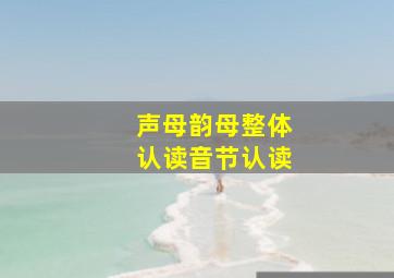 声母韵母整体认读音节认读