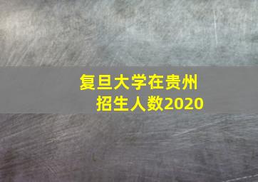 复旦大学在贵州招生人数2020