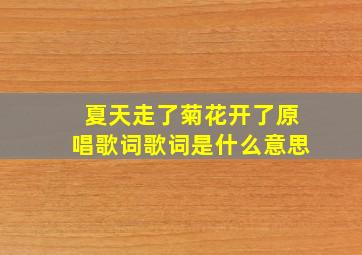 夏天走了菊花开了原唱歌词歌词是什么意思