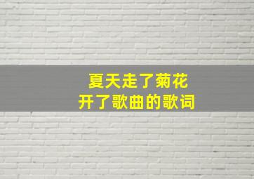 夏天走了菊花开了歌曲的歌词