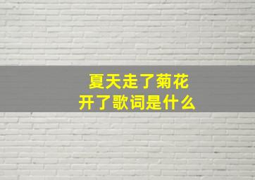 夏天走了菊花开了歌词是什么