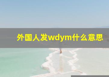 外国人发wdym什么意思