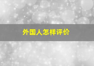 外国人怎样评价