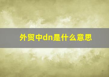 外贸中dn是什么意思