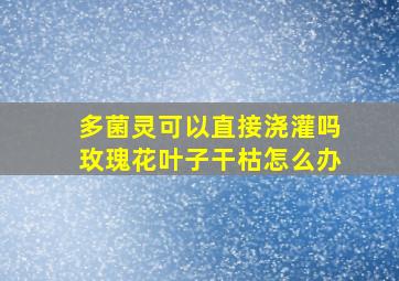 多菌灵可以直接浇灌吗玫瑰花叶子干枯怎么办