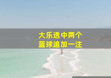 大乐透中两个蓝球追加一注