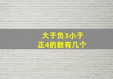 大于负3小于正4的数有几个