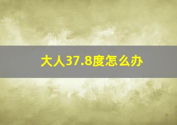 大人37.8度怎么办