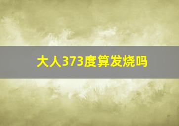 大人373度算发烧吗