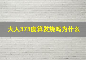 大人373度算发烧吗为什么