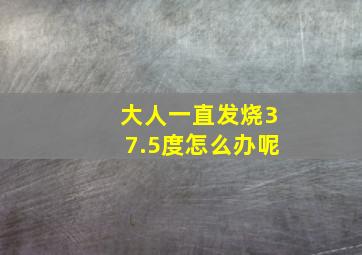 大人一直发烧37.5度怎么办呢