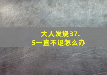 大人发烧37.5一直不退怎么办