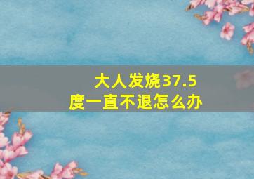 大人发烧37.5度一直不退怎么办