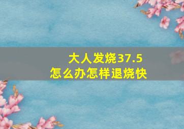 大人发烧37.5怎么办怎样退烧快