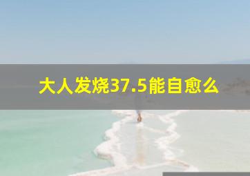 大人发烧37.5能自愈么