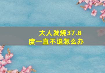 大人发烧37.8度一直不退怎么办