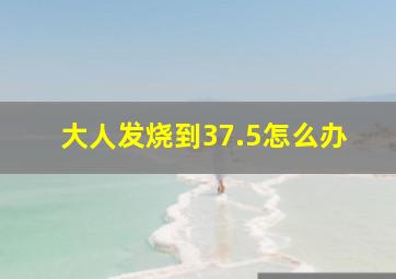 大人发烧到37.5怎么办