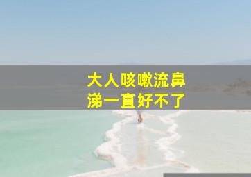 大人咳嗽流鼻涕一直好不了