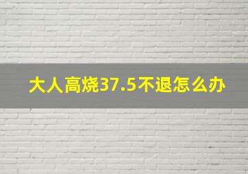 大人高烧37.5不退怎么办