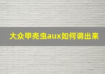 大众甲壳虫aux如何调出来