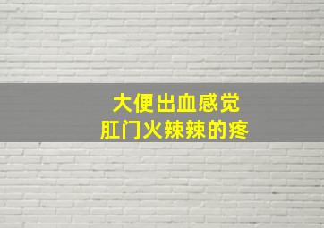 大便出血感觉肛门火辣辣的疼