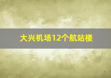 大兴机场12个航站楼