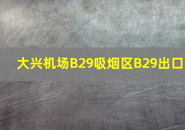 大兴机场B29吸烟区B29出口