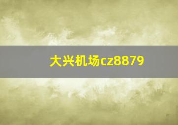 大兴机场cz8879