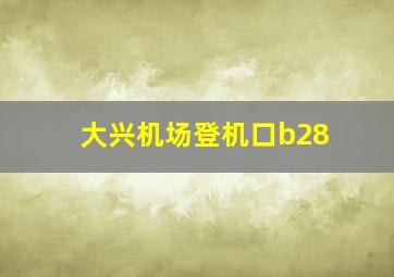 大兴机场登机口b28