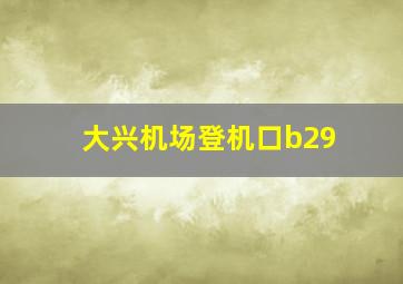 大兴机场登机口b29