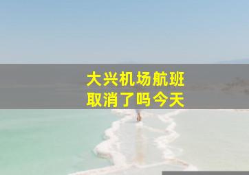 大兴机场航班取消了吗今天