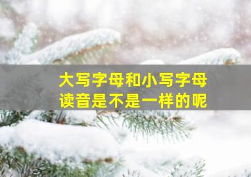 大写字母和小写字母读音是不是一样的呢