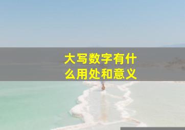 大写数字有什么用处和意义