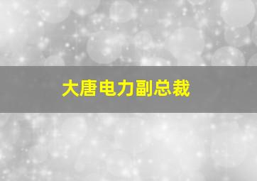 大唐电力副总裁