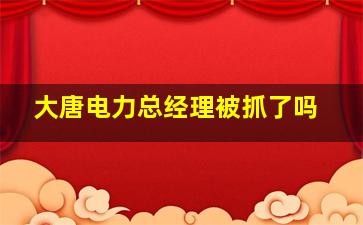 大唐电力总经理被抓了吗