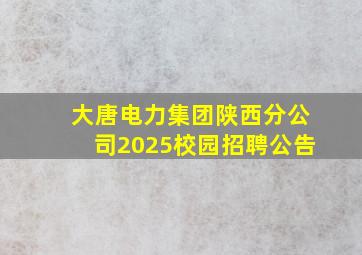 大唐电力集团陕西分公司2025校园招聘公告