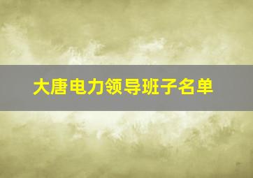 大唐电力领导班子名单