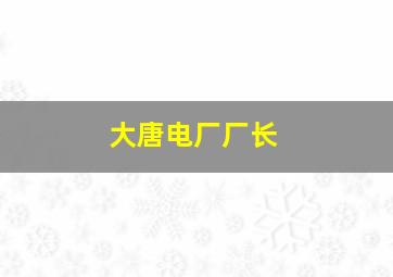 大唐电厂厂长