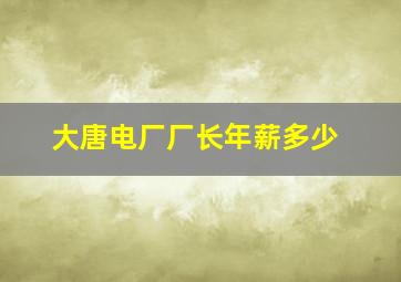 大唐电厂厂长年薪多少