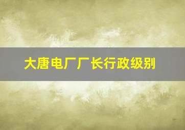 大唐电厂厂长行政级别